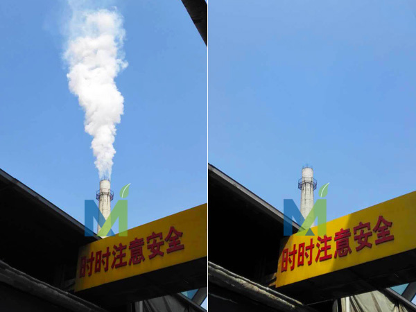 使用濕式靜電除塵器實(shí)現(xiàn)糖廠(chǎng)生物質(zhì)鍋爐*低排放效果